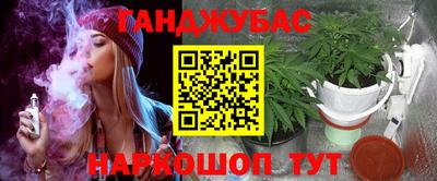 шишки Ставрополь
