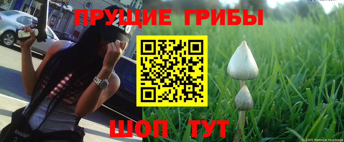 Нижний Тагил  Псилоцибиновые грибы ЛСД  Галлюциногенные грибы Magic Shrooms  Вход с VPN 